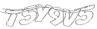 Check code