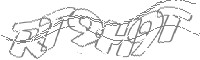 Check code
