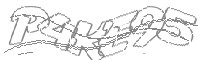 Check code