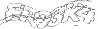 Check code