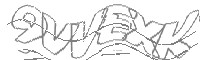 Check code