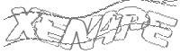 Check code