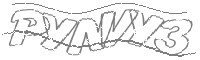 Check code