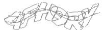 Check code