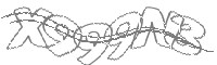 Check code