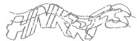 Check code