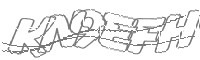 Check code