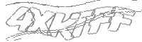 Check code