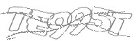 Check code