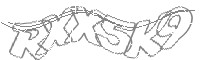 Check code