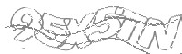 Check code