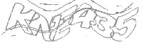 Check code