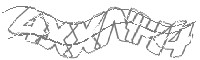 Check code