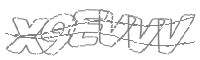 Check code