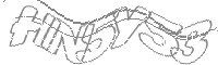 Check code