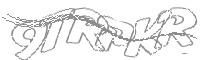 Check code