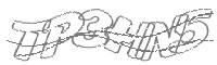 Check code