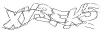 Check code