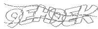 Check code