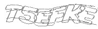 Check code